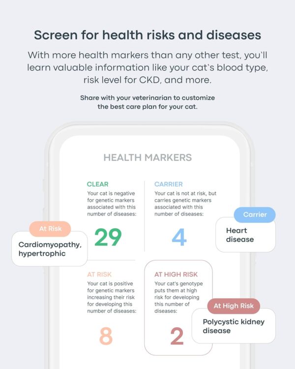 Basepaws Cat DNA Test Kit - Comprehensive Breed, Health and Dental Analysis Across 114 Traits for Accurate and Easy-to-Use Genetic Insights - Image 2