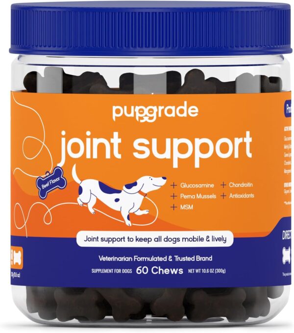 PupGrade Joint Support Supplement for Dogs - Natural Glucosamine Chondroitin with MSM - Hip & Joint Pain Relief - Recommended for Hip Dysplasia, Arthritis & Joint Disease - USA Tested - 60 Chews