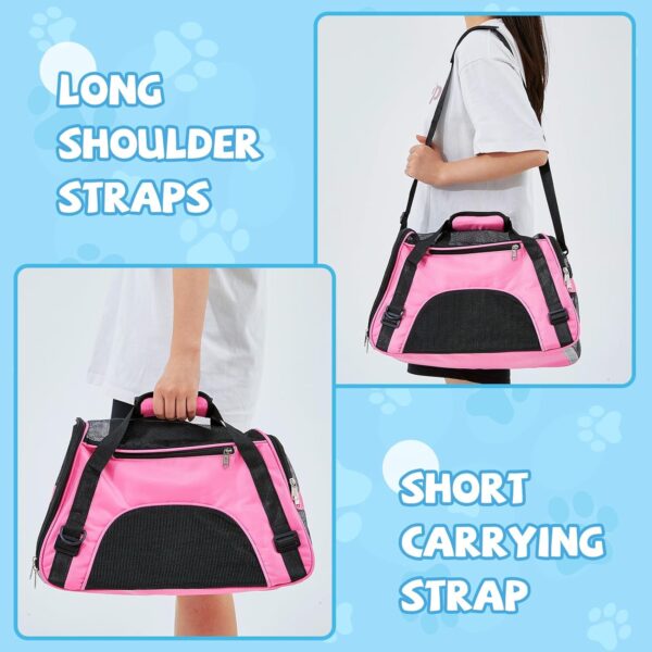 4 Pcs Cat Carrier Soft Pet Carrier for Cat Under 13lbs, 16.9'' x 11'' x 7.5'', Soft Sided Foldable Comfortable and Portable Carrying Bag for Cat, Small Dog Pet Travel(Rose Red, Blue) - Image 5