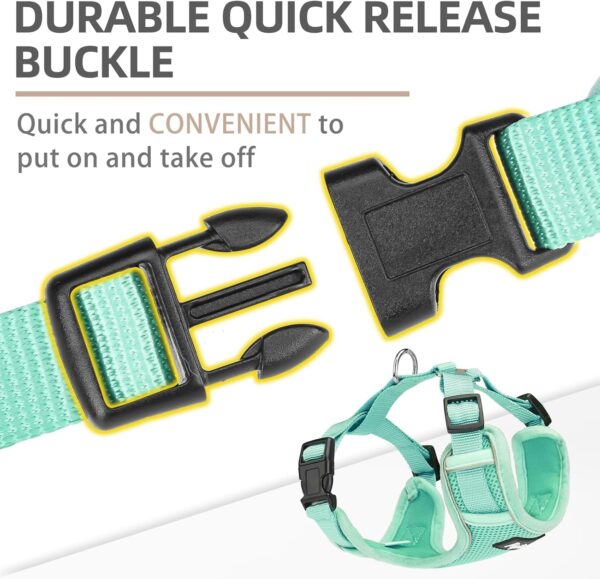 PUPTECK Dog Harness and Leash Set for Small Medium Dogs No Pull, Soft Mesh Adjustable Puppy Cat Harness Reflective at Night, Green M - Image 5