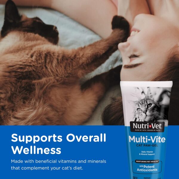 Nutri-Vet Multi-Vite Multivitamin Paw Gel for Cats - Daily Vitamin and Mineral Support - Salmon Flavor - 3 oz - Image 3