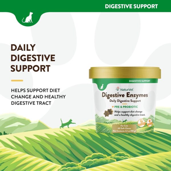 NaturVet – Digestive Enzymes for Cats Plus Probiotics – 60 Soft Chews – Helps Support Diet Change & A Healthy Digestive Tract – Aids in The Absorption of Vitamins & Minerals – 30 Day Supply - Image 3