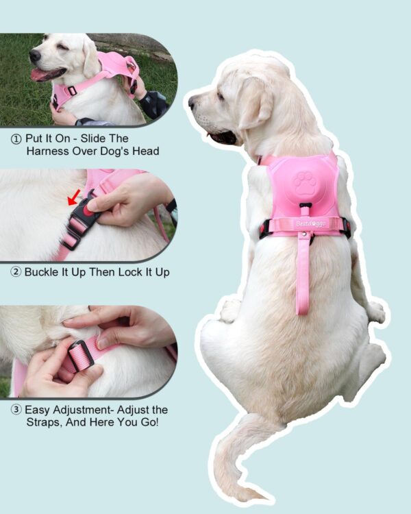 Dog Harness for Medium Dogs No-Pull - Harness for Dogs with Built-in Retractable Leash, Heavy Duty Front Clip Dog Harness, Adjustable Soft Padded Dog Vest, Auto-Lock Dog Vest Harnesses for Large Dogs - Image 7