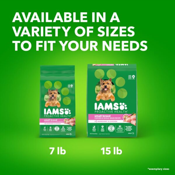 IAMS Small & Toy Breed Adult Dry Dog Food for Small Dogs with Real Chicken, 15 lb. Bag - Image 14