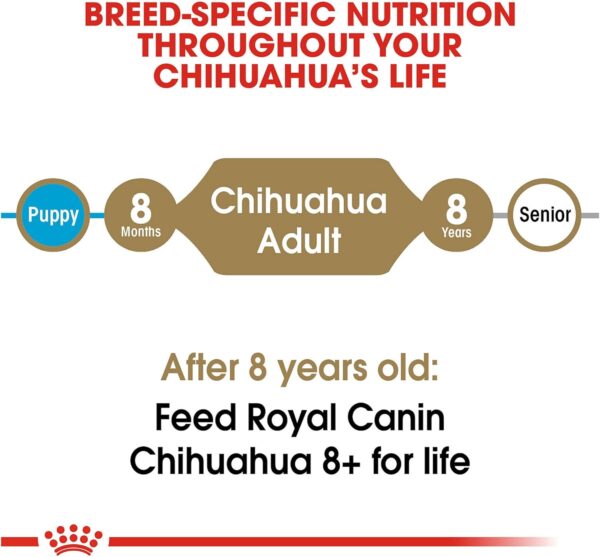 Royal Canin Chihuahua Adult Dry Dog Food, 10 lb bag - Image 6