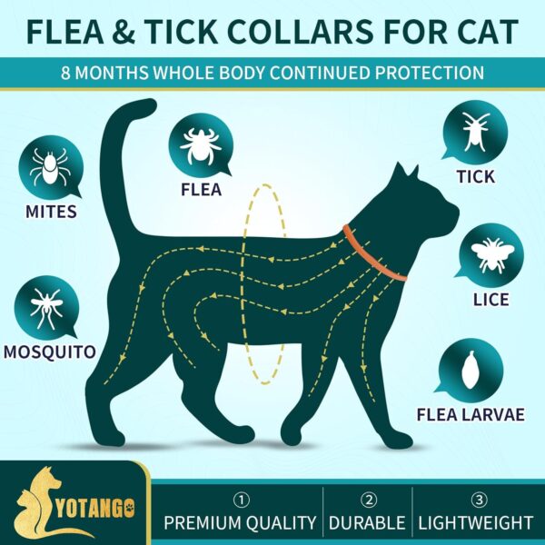 4 Pack Flea Collar for Cats, Cat Flea and Tick Collar 8 Months Cat Flea Collar Treatment Prevention, Adjustable Waterproof Cat Flea Collar Kitten Natural Tick and Flea Collar for Cat (Oragne&Green) - Image 2