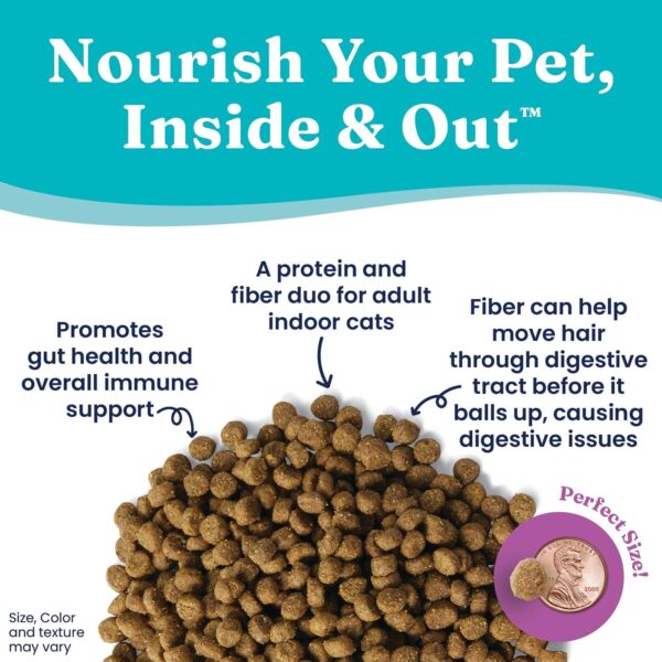 Solid Gold Indoor Dry Cat Food - Let's Stay in Cat Food Dry Kibble for Indoor Cats - Hairball & Sensitive Stomach - Grain & Gluten Free - Probiotics & Fiber for Digestive Health - Salmon - 6lb - Image 3