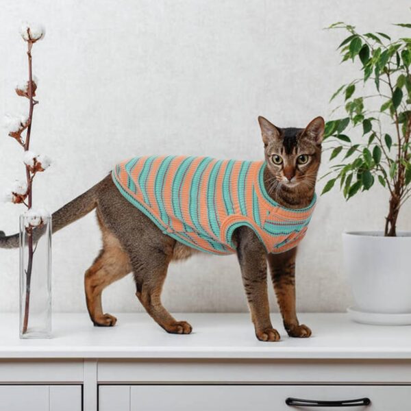 Sphynx Cat Clothes, Breathable Hairless Cat Shirts, Stripe Kitten T-Shirts Sleeveless, Pullover Cat Sweaters, Pet Summer Apparel for Sphynx, Cornish Rex, Devon Rex, Peterbald, Small Dogs - Image 6