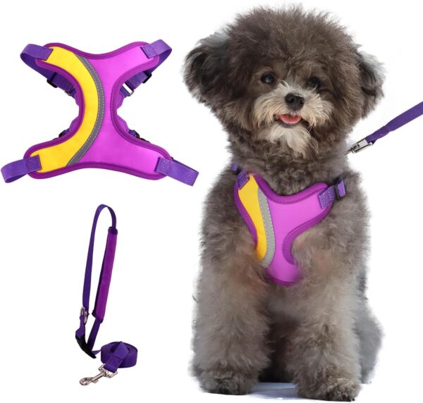 BEYFIRG_ Dog Harness and Leash Set for Small and Medium Sized Dogs, Lightweight & Soft Puppy Harness, Adjustable and Reflective Harness Set for Training, Walking (S, Purple)