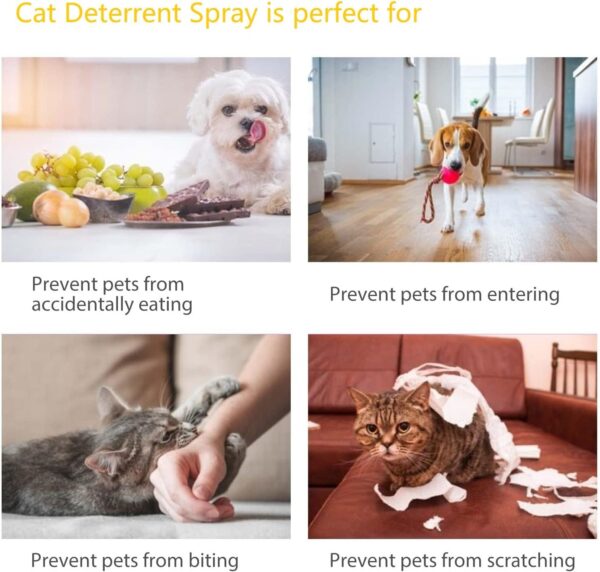 Green Hills Cat Deterrent Spray Indoor, Anti Scratch Furniture Protector for Cat and Kitten - Effective Cat Training Aid with Bitter for Furniture & Plants - Keep Cats Off - Indoor & Outdoor - Image 4