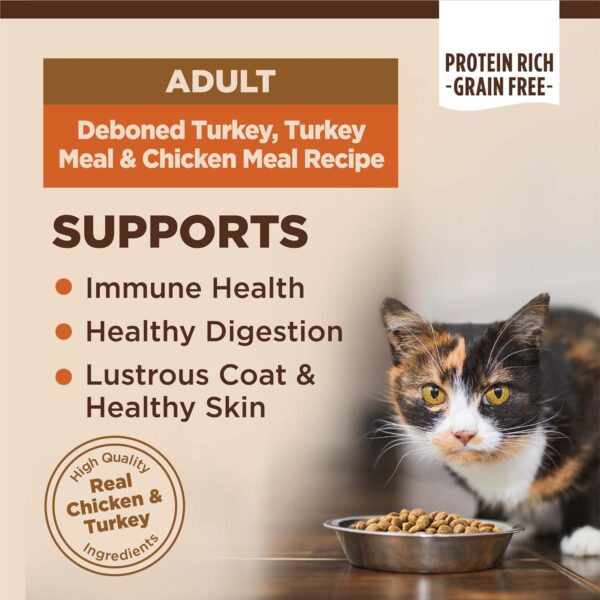 Wellness CORE High Protein Grain-Free Adult Dry Cat Food, Original Formula Turkey, Turkey Meal & Chicken Recipe, 11 Pound Bag - Image 2