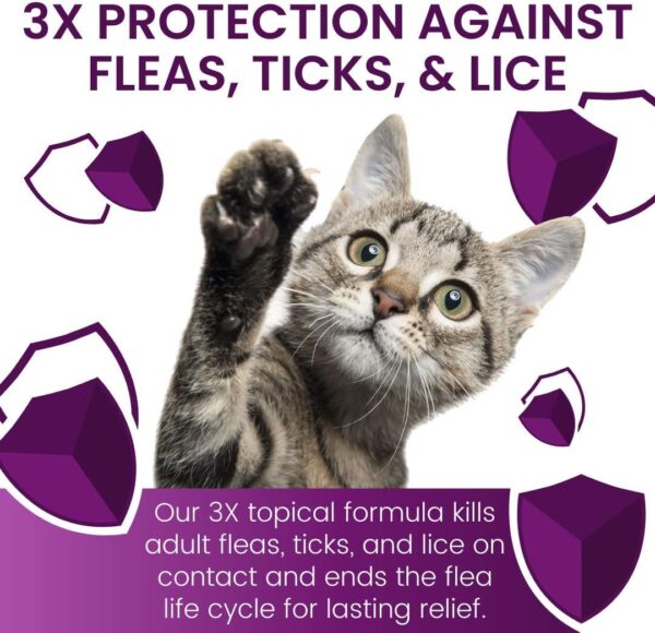 Flea and Tick Prevention for Cats, Kills Chewing Lice, Cat Flea Treatment (6 Dose) - Image 3