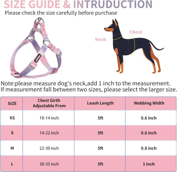 AIITLE Step-in Dog Harness and Leash Set - No Pull Pet Adjustable Halter Harness with A 5FT Leash - Double D ring,Easy Fit - Easy Walk Running Training for Large Breed Dogs,Pink-Purple Gradient L - Image 5