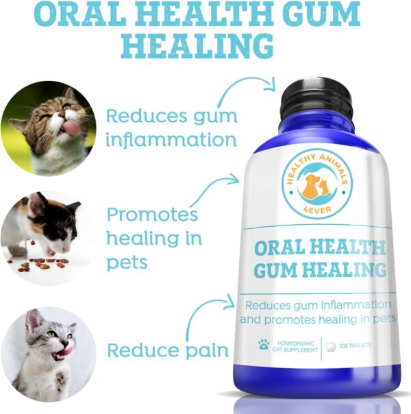 Healthy Animals 4 Ever Oral Health Gum Healing for Cats - Relieves Inflammation, Soothes Pain, Fights Gum Disease - Natural, Non-GMO, Organic - Gluten, Preservative & Chemical Free Supplement - 300 ct - Image 2