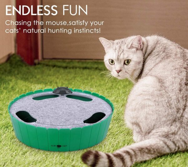 Pawaboo Interactive Cat Toy with Running Mouse, Electronic Motion Cat Toy Automatic Teaser for Indoor Cats, Pop and Play Hide Seek Cat Toy Hunting Mouse for Pet Cat Kitten Play Fun Exercise, GREEN - Image 3