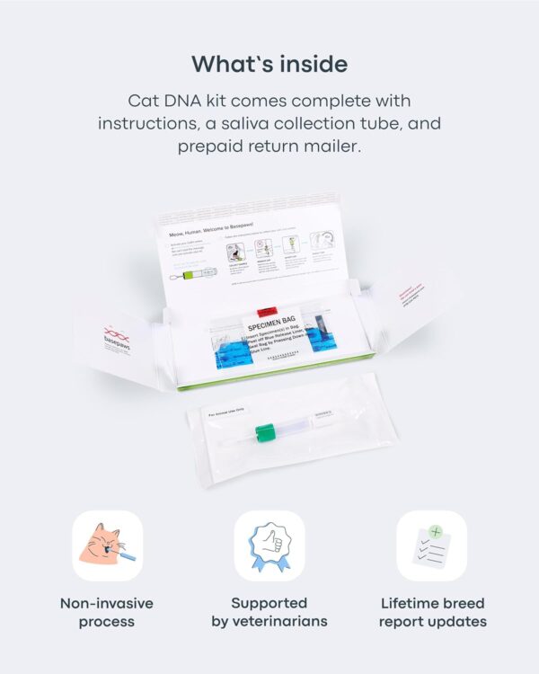 Basepaws Cat DNA Test Kit - Comprehensive Breed, Health and Dental Analysis Across 114 Traits for Accurate and Easy-to-Use Genetic Insights - Image 5