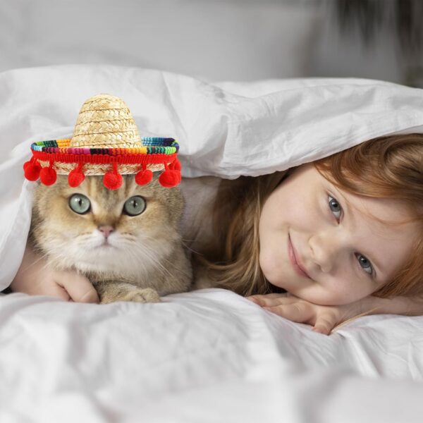 Sombrero Cat Hat for Cats Mexican Fiesta, Mini Mexican Sombrero Hat for Cinco de Mayo Party Supplies Funny Mexican Style Hat Headwear for Small Pet Puppy Cat Costume Cute Sombrero for Cats - Image 4