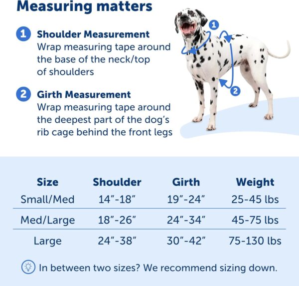 PetSafe Easy Walk Comfort No-Pull Dog Harness Full-Body Padding - Better Walks on The First Use - 5 Points of Adjustment Small/Medium, Black - Image 5