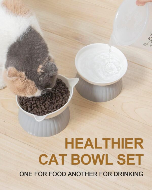 2 Ceramic Raised Cat Food Bowls, Elevated Cat Food and Water Bowl Set, Pet Bowl for Indoor Cats and Small Dogs, Anti-Vomiting Cat Dog Feeder with Plastic Base, Dishwasher Safe, Grey… - Image 4