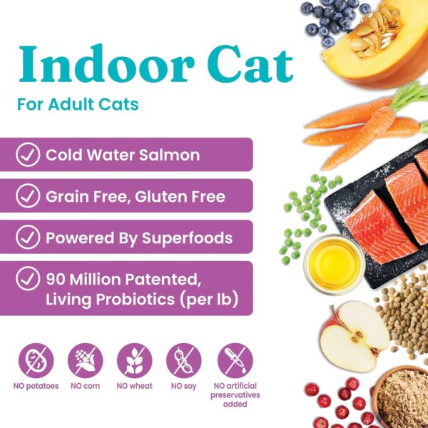 Solid Gold Indoor Dry Cat Food - Let's Stay in Cat Food Dry Kibble for Indoor Cats - Hairball & Sensitive Stomach - Grain & Gluten Free - Probiotics & Fiber for Digestive Health - Salmon - 6lb - Image 2