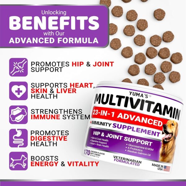 2-Pack Dog Multivitamin Chewable with Glucosamine - Dog Vitamins and Supplements - Senior & Puppy Multivitamin for Dogs - Hip & Joint Support - Immune Health, Skin, Heart, Digestion, Probiotics - Image 2