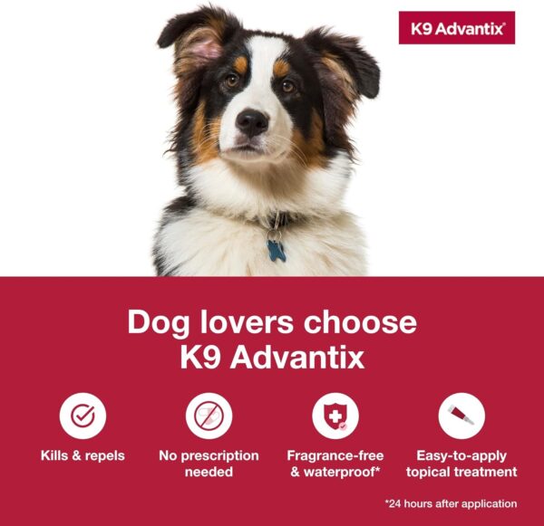 K9 Advantix Flea, Tick & Mosquito Prevention for Dogs Over 55 lbs. | Flea Drops for Extra Large Dogs | Apply Monthly | 2 Treatments - Image 4