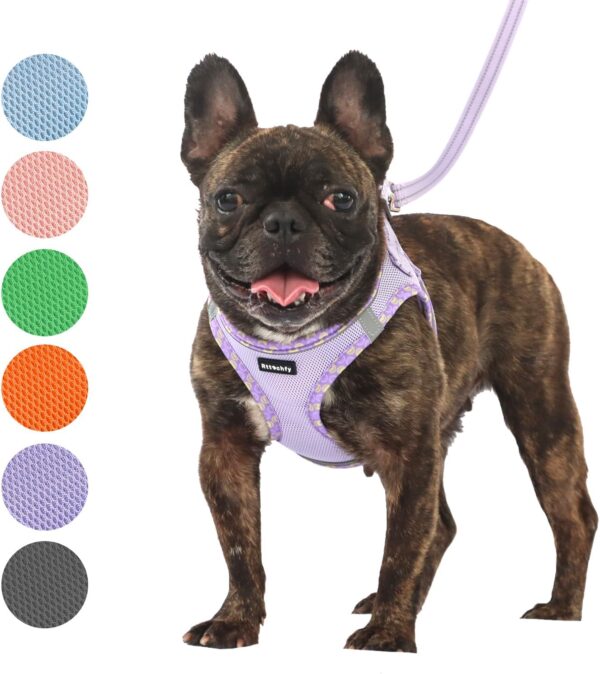 Dog Harness for Small and Medium Size Dogs, Soft Mesh Step in Vest Harness, No Pull and No Choke Puppy Harness for Training Walking, (Purple XS)