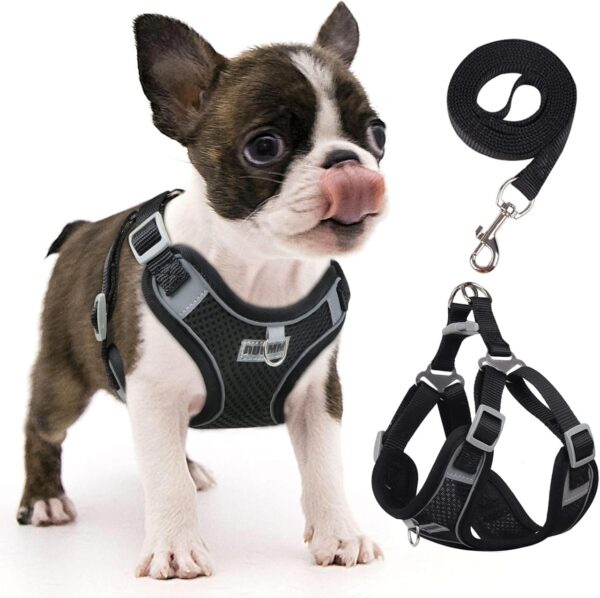 rennaio Dog Harness No Pull, Adjustable Puppy Harness with 2 Leash Clips, Ultra Breathable Padded Dog Vest Harness, Reflective Dog Harness and Leash Set for Small and Medium Dogs (Black, S)