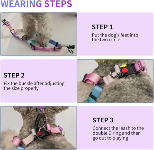 AIITLE Step in Dog Harness Collar Leash Set - Adjustable No Pull Dog Halter Harness - Comfortable Padded Handle - Easy Control for Walking - for Extra-Small Breed Dogs, Pink Gradient XS - Image 2