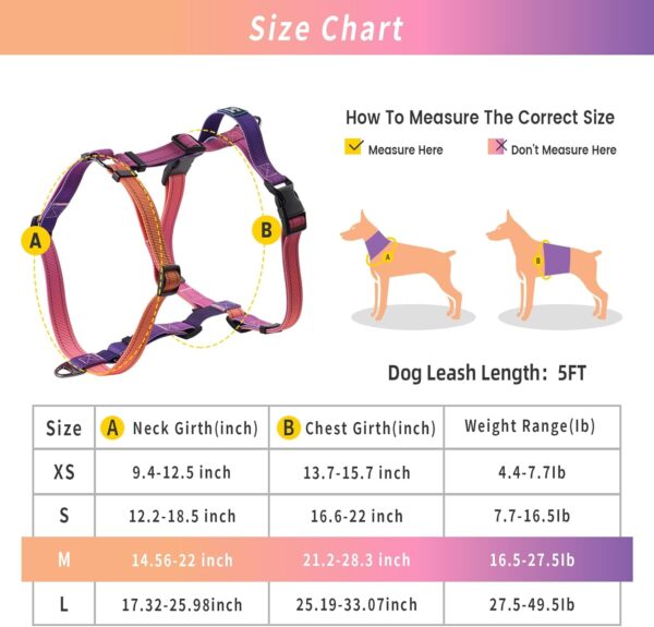 Roses&Poetry Dog Harness with Leash, No Pull Adjustable Harness Leash, Reflective Dog Halter Harnesses Comfort Padded Handle, Pet Walking Harness for Medium Dogs（Mistyrose-M） - Image 3