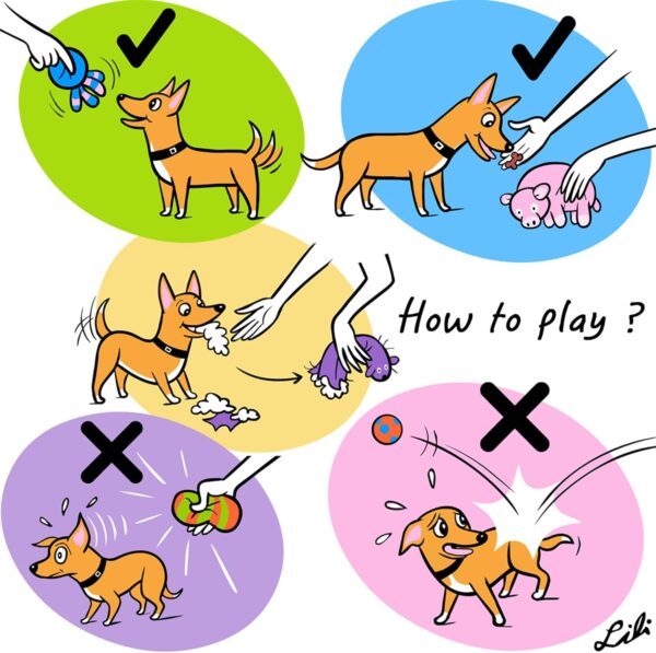 CHIWAVA 4PCS 2.4'' Squeak Latex Puppy Toy Funny Animal Sets Pet Interactive Play for Small Dog Assorted Color - Image 5