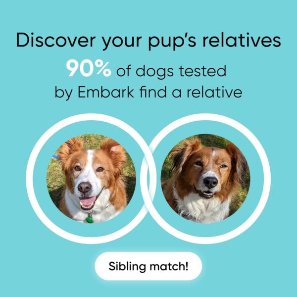 Embark Breed & Health Kit - Dog DNA Test - Discover Breed, Ancestry, Relative Finder, Genetic Health, Traits, COI - Image 4