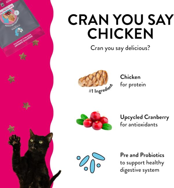 Shameless Pets Crunchy Cat Treats - Kitty Treats for Cats with Digestive Support, Natural Kitten Treats with Real Chicken, Healthy Flavored Feline Snacks - Cran You Say Chicken, 1-Pk - Image 2