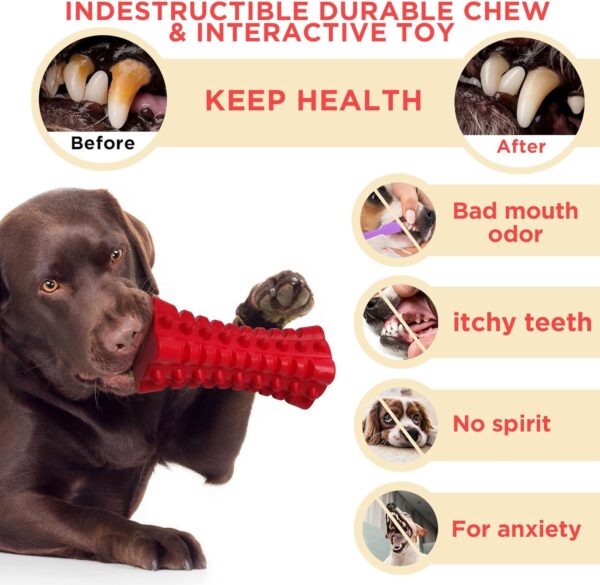 VANFINE Tough Squeaky Dog Toys for Aggressive Chewers - Dog Chew Toys for Aggressive Chewers Large Breed Stick - Durable Dog Toys for Aggressive Chewers Non-Toxic Natural Rubber Beef Flavor (Red) - Image 5