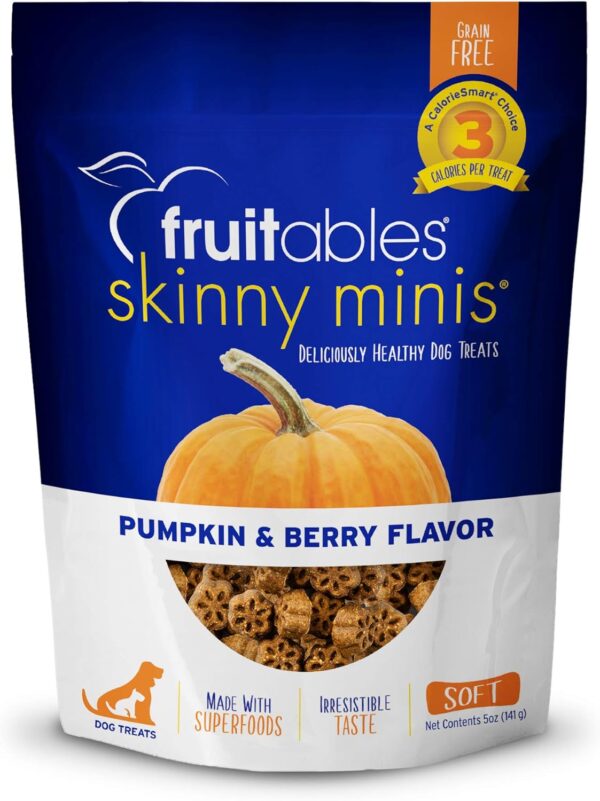 Fruitables Skinny Mini Dog Treats – Healthy Soft Dog Treats – Training Treats – Pumpkin & Berry Flavor – 5 Ounces