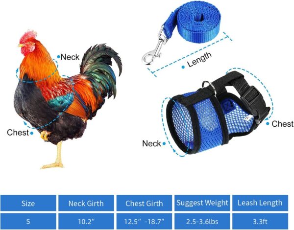 Chicken Harness (Medium, Blue) with Leash, Breathable, Adjustable, Comfortable for Chickens, Ducks, Geese, and Small Pets - Image 2