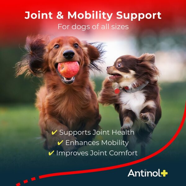 Plus, Mobility, Hip, and Joint Supplement for Dogs, Green-Lipped Mussels and Krill Oil - Dog Joint Supplement, Better and Faster than Glucosamine and Chondroitin, 60 Soft Gels - Image 2