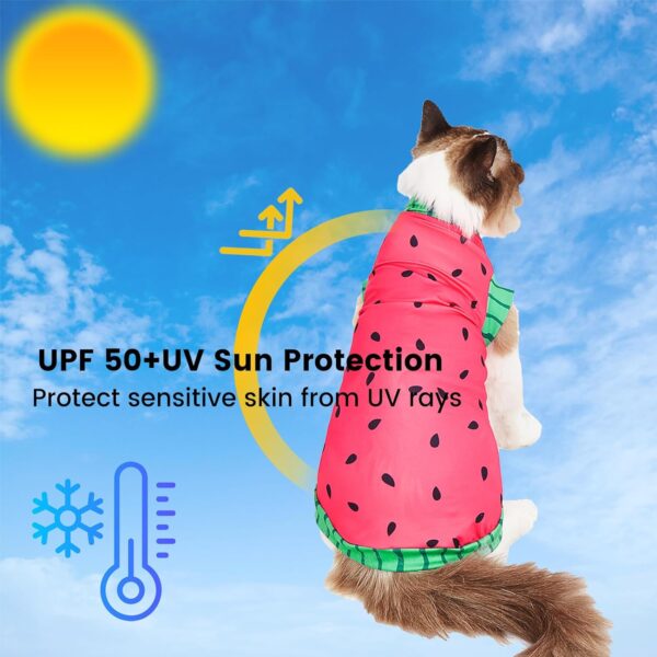 Sphynx Cat Watermelon Shirt &Sun Hat for Summer, Cooling Breathable UPF 50+ Shirt for Cats & Small Dogs Apparel, Shirt and Hat Set for Cats (L (5.5-8lbs)) - Image 3