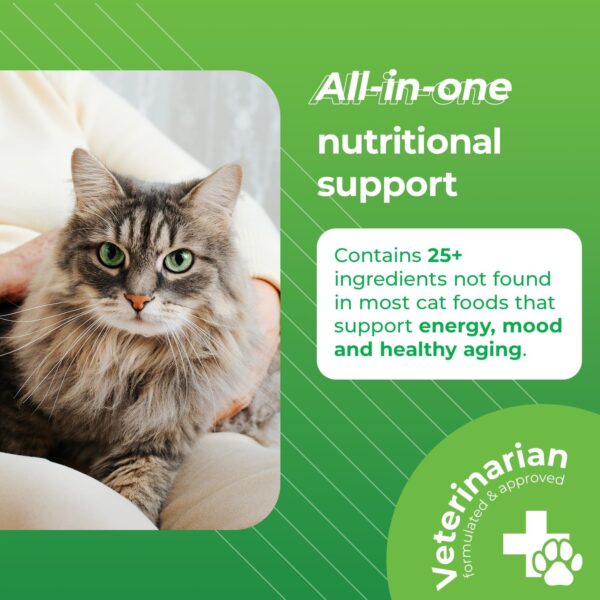 VetriScience Nu Cat Senior Multivitamin with Lysine for Cats - 30 Chews - Cat Supplements & Vitamins Designed to Support Heart, Eye and Brain Function, Immunity and Liver Health in Senior Cats​ - Image 2