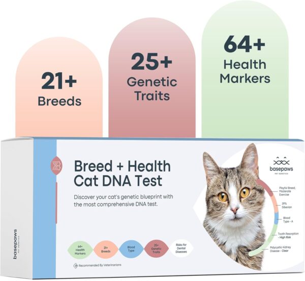 Basepaws Cat DNA Test Kit - Comprehensive Breed, Health and Dental Analysis Across 114 Traits for Accurate and Easy-to-Use Genetic Insights