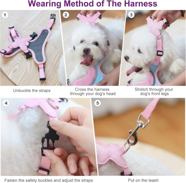 BEYFIRG_ Dog Harness and Leash Set for Small and Medium Sized Dogs, Lightweight & Soft Puppy Harness, Adjustable and Reflective Harness Set for Training, Walking (S, Purple) - Image 6