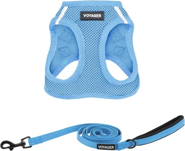 Voyager Step-in Air All Weather Mesh Harness and Reflective Dog 5 ft Leash Combo with Neoprene Handle, for Small, Medium and Large Breed Puppies by Best Pet Supplies - Set (Baby Blue), M