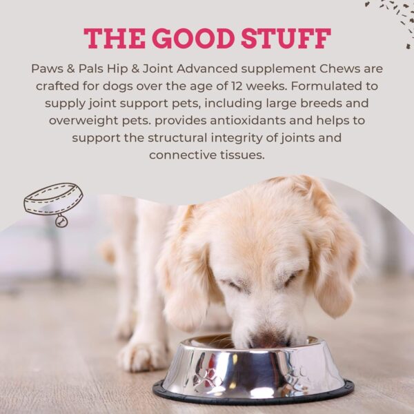 Paws & Pals Glucosamine Chondroitin MSM for dogs 240 Count, Hip and Joint Mobility Soft Chews Supplement, Pain & Inflammation Relief for all breeds - Maximum Strength, Treats Hip Dysplasia & Arthritis - Image 2