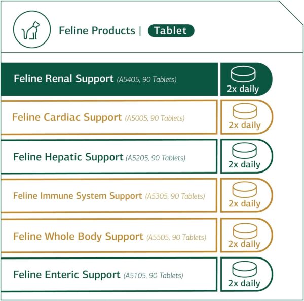 Standard Process - Feline Renal Support - Kidney and Urinary Health for Cats - 90 Tablets - Image 4