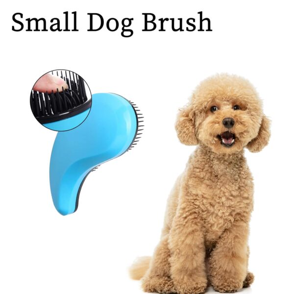 Small Dog Brush - Puppy Hair Brush- Grooming Tool for Teddy, Yorkies, Maltese, Shih Tzu, Chihuahua (Blue) - Image 5