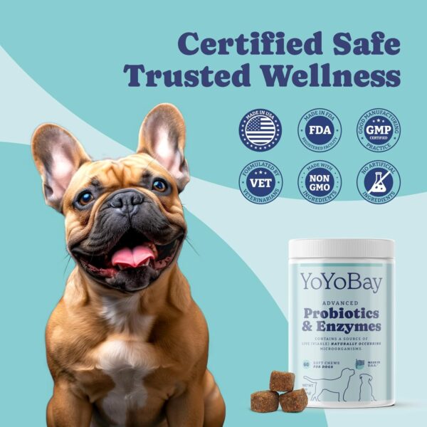 Probiotics for Dogs, Dog Probiotics and Digestive Enzymes, Pre & Probiotics over 1 Billion CFUs, for Gut Health and Digestive Health, Itchy Skin Relief, Immune Support, 60 Soft Chews - Image 4