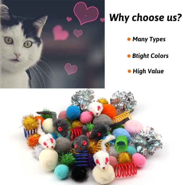 60 Packs Cat Toys Balls Set Spiral Springs Assorted, Kitten Ball Toys Assortments, Sparkle Ball, Cat Mouse Toy, Cat Crinkle Balls, Cat Springs, Furry Cat Toys Balls Soft Pom Pom Balls - Image 3