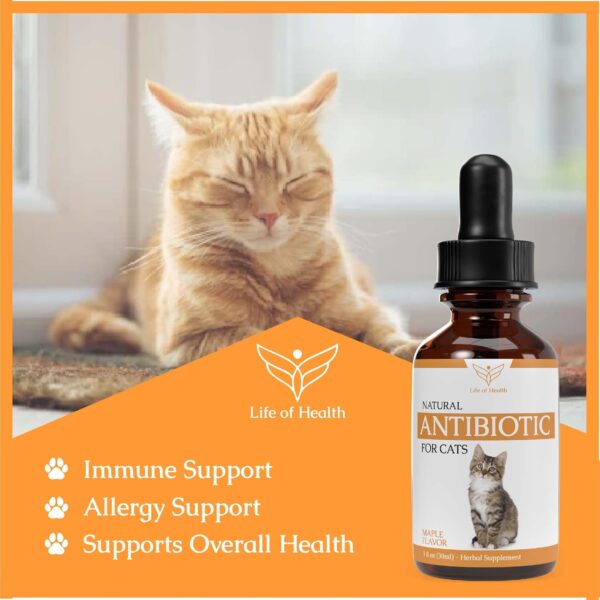 Natural Antibiotics for Cats - Cat Antibiotics - Cat Antibiotic - Pet Antibiotics - Cat Immune Support - Antibiotic for Cats - Cat Multivitamin - Cat UTI Antibiotics - (2 Pack) - Image 3