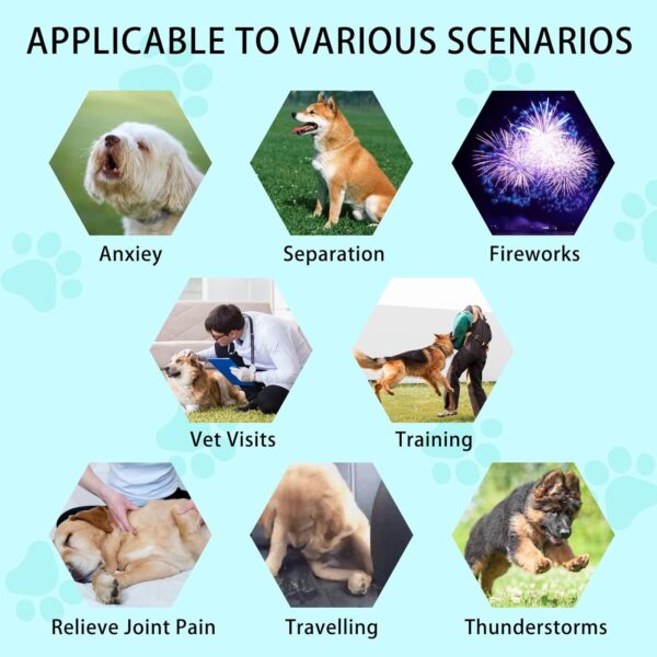 Hemp Calming Chews for Dogs, Dog Calming Treats Anxiety Relief 100% Golden Ratio of Natural Ingredients Calming Dog Treats, Aid with Separation, Barking, Stress Relief, Thunderstorms - Image 3