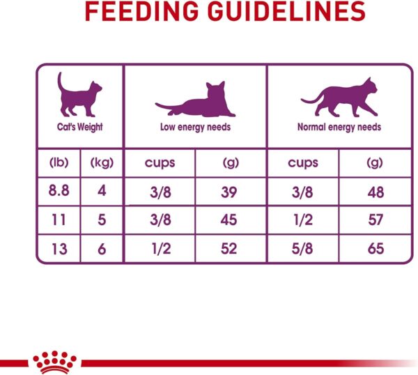 Royal Canin Feline Health Nutrition Sensitive Digestion Cat Food Dry Formula, Balanced Nutrition to Support Digestive Health, 7 lb Bag - Image 7